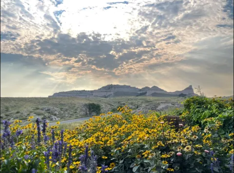 Heartland Horizons